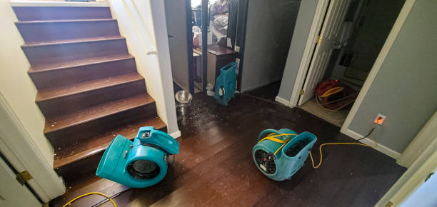 Reliable Westfield, PA Water damage restoration Solutions