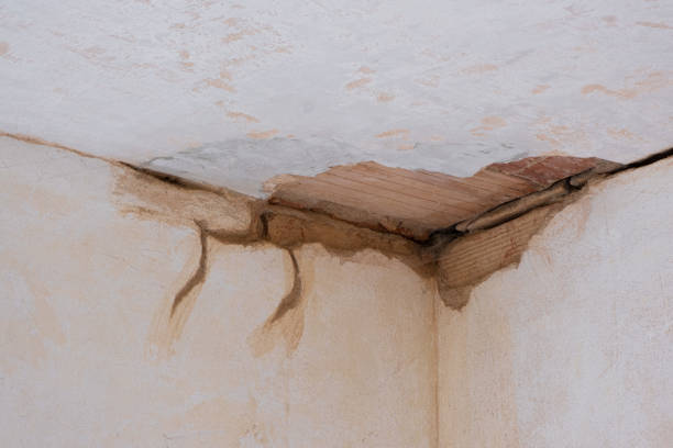Best Flooded house restoration  in Westfield, PA