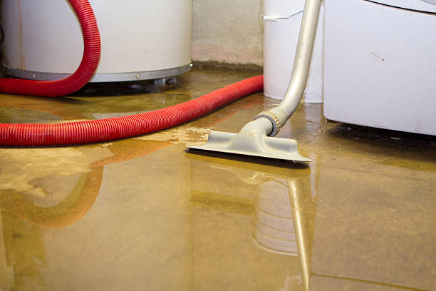 Best Local water damage restoration  in Westfield, PA
