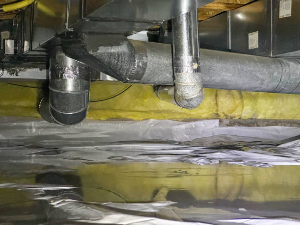 Best Water damage restoration near me  in Westfield, PA