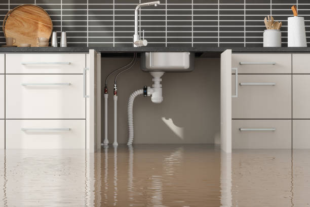 Best Water damage repair service  in Westfield, PA