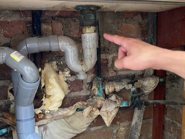 Best Professional water damage repair  in Westfield, PA