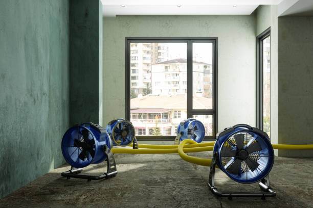 Best 24/7 water damage repair  in Westfield, PA